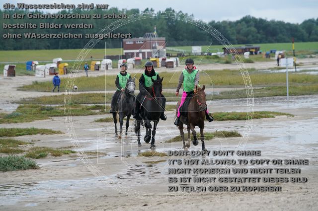 s_K3F04914.JPG